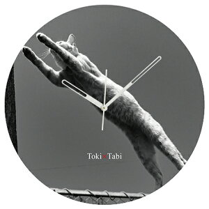 A+ (ANZgvX) Toki×Tabi ^|v 60cm L̓ |v lR L ˂ mN  ^v bj Ǌ|v  A[gpl 傫  CeA ʐ^ { r