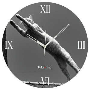 A+ (ANZgvX) Toki×Tabi ^|v 60cm L̓ |v lR L ˂ mN  ^v bj Ǌ|v  A[gpl 傫  CeA ʐ^ { r