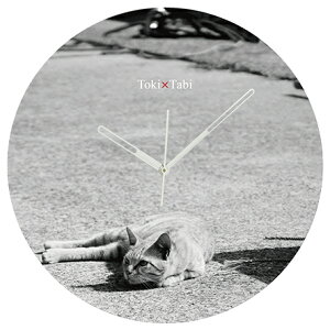 A+ (ANZgvX) Toki×Tabi ^|v 60cm L̓ |v lR L ˂ mN  ^v bj Ǌ|v  A[gpl 傫  CeA ʐ^ { r