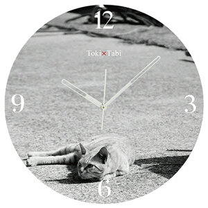 A+ (ANZgvX) Toki×Tabi ^|v 60cm L̓ |v lR L ˂ mN  ^v bj Ǌ|v  A[gpl 傫  CeA ʐ^ { r