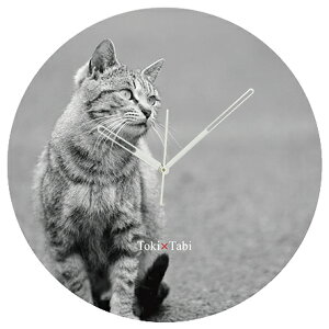 A+ (ANZgvX) Toki×Tabi ^|v 60cm L̓ |v lR L ˂ mN  ^v bj Ǌ|v  A[gpl 傫  CeA ʐ^ { r