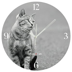 A+ (ANZgvX) Toki×Tabi ^|v 60cm L̓ |v lR L ˂ mN  ^v bj Ǌ|v  A[gpl 傫  CeA ʐ^ { r