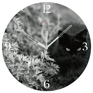 A+ (ANZgvX) Toki×Tabi ^|v 60cm L̓ |v lR L ˂ mN  NlR L ^v bj Ǌ|v  傫  CeA ʐ^ { 