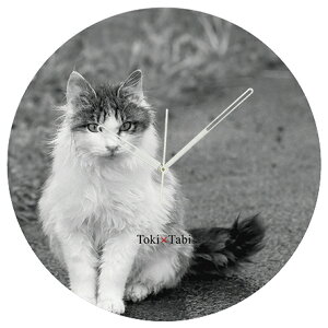 A+ (ANZgvX) Toki×Tabi ^|v 60cm L̓ |v lR L ˂ mN  ^v bj Ǌ|v  A[gpl 傫  CeA ʐ^ { r