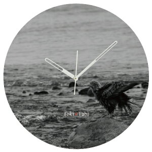 A+ (ANZgvX) Toki×Tabi ^|v 60cm m̃IIV |v  mN  ^v bj Ǌ|v  A[gpl 傫  CeA ʐ^ { 