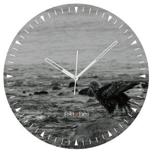 A+ (ANZgvX) Toki×Tabi ^|v 60cm m̃IIV |v  mN  ^v bj Ǌ|v  A[gpl 傫  CeA ʐ^ { 