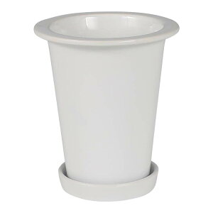 DULTON {^j[ O |bg STCY  O|bg Aؔ t[|bg   킢 CeAG Mtg v[gJtF Xg Vbv X X fBXv