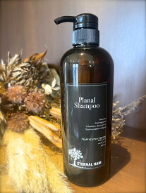 PLANAL プラーナル プラーナルシャンプー700ml ［全身洗えるトリートメントシャンプー］