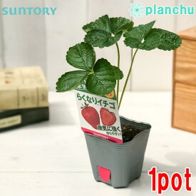楽天市場 サントリー 本気野菜の通販