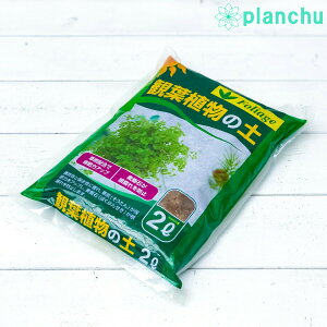 | ϗtA̓y 2L JAN4560204591347