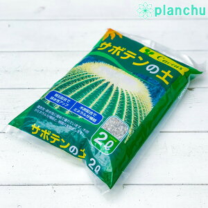 | T{e̓y 2L JAN4560204591330