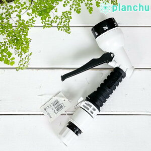 ^JM UmY NbNE QG551 JAN4975373162203