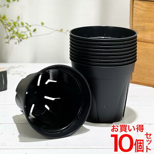 KANEYA �X���b�g�� WD-105L �u���b�N 10�Z�b�g ��10.5×H9.6cm 0.5L 3.5����
