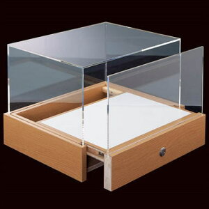 [W420×D320×H290mm]t ˎV[P[X AN ؐ fBXvC BOX {bNX Kl Vዾ TOX v ANZT[ u Ebh ؖ ߂˃fBXvC X W R