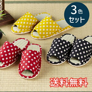 yz t X^_[h  Xbp ԏ 3FZbg bh ubN CG[ [V[Y 3   a  VRf EVA G pG K Mt