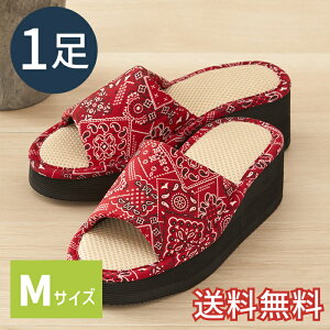yz Ǝ炭  Xbp o_i bh MTCY p 1 [V[Y   JWA Ǝ EVA G pG  K Mtg v
