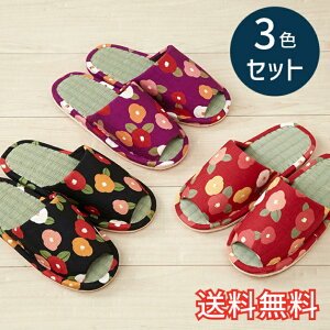 yz t X^_[h  Xbp ΂ 3FZbg bh p[v ubN [V[Y 3   킢 ԕ  VRf EVA G pG 