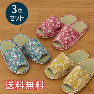 yz t X^_[h  Xbp t[ 3FZbg sN u[ CG[ [V[Y 3   ԕ a m  VRf EVA G pG