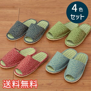 yz t X^_[h Xbp   4FZbg bh O[ u[ lCr[ [V[Y 4   a  VRf EVA G pG K 