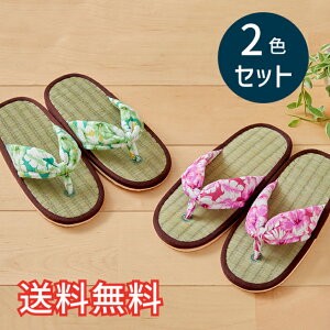 yz t   Xbp nCrXJX 2FZbg sN O[ [V[Y 2   킢 ԕ a m  VRf EVA G pG 