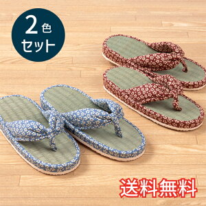 yz t X^_[h   Xbp  2FZbg bh u[ [V[Y 2   킢 ԕ a  VRf EVA G pG 