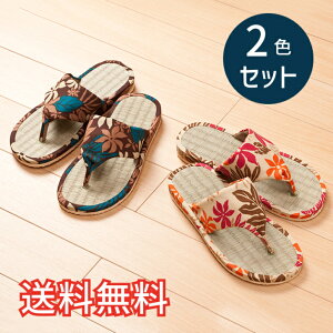 yz t  Xbp gO^Cv nCA 2FZbg x[W uE [V[Y 2   킢 m  VRf EVA G pG K 