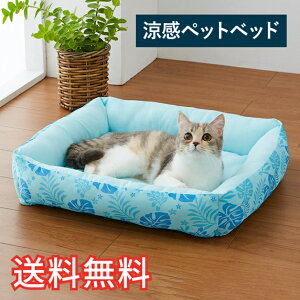 yz I[V[Yg  ybgxbh [t 1 u[ \tg ӂӂ }bg  Q nEX  K G pG  ^ ^   L ˂ Mtg 