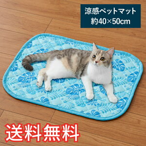 yz  ybg}bg [t TCY 1 u[ \tg ӂӂ }bg  Q nEX  K G pG  ^ ^   L ˂ Mtg j v[