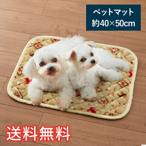 yz ӂ ybg}bg GN TCY 1 x[W \tg ӂӂ }bg  Q nEX G pG  ^ ^   L ˂ Mtg j v[g v