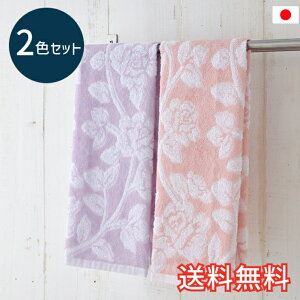 yz Y tFCX^I [Y 2F 2Zbg sN p[v  K \tg ӂӂ z  pC  WK[hD Y { G pG C  X|