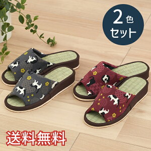 yz t  q[Abv Xbp aɂ 2FZbg bh O[ [V[Y 2   킢  ˂ a  VRf EVA G pG 