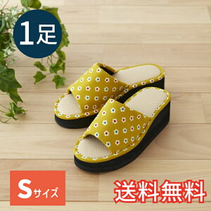 yz Ǝ炭  Xbp ԏ CG[ STCY p 1 [V[Y   JWA Ǝ EVA G pG  K Mtg v