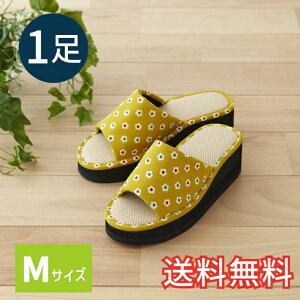 yz Ǝ炭  Xbp ԏ CG[ MTCY p 1 [V[Y   JWA Ǝ EVA G pG  K Mtg v