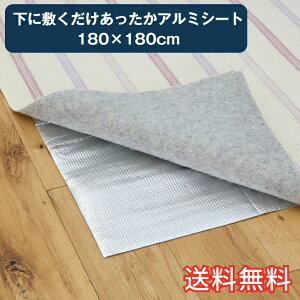 yz ɕ~  A~V[g 180×180cm h G pG C ubN ՔM ߓd ȃGl GR O J[ybg ~ӂƂ t[Jbg Mtg j v[