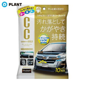 vX^bt CCEH[^[S[h EFbgNX S171 PROSTAFF