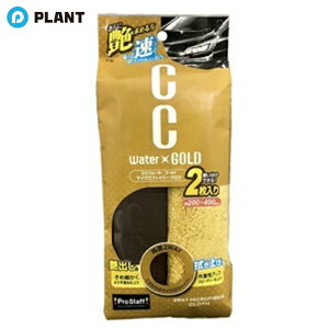 vX^bt CCEH[^[S[h2WAYNX 2 PROSTAFF