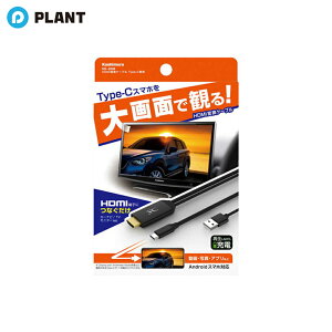 JV HDMIϊP[u Type[Cp KD[208 ubN