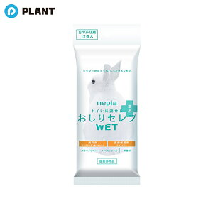 _yXSi|Cg5{z11271:59܂Ł^lsAZuWET p łp12