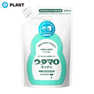 _yXSi|Cg5{z1623:59܂Ł^E^} Lb` l 250ml