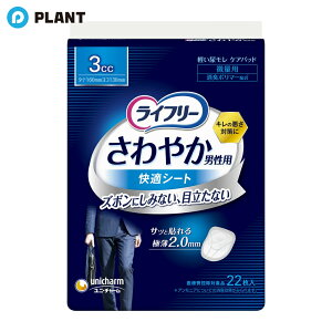 jE`[ Ct[ ₩ jp KV[g 3cc 22