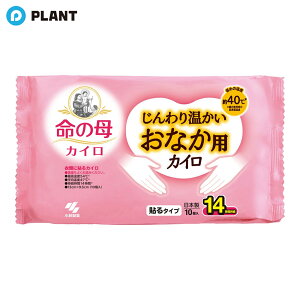 _yXSi|Cg5{z11271:59܂Ł^̕JC 艷ȂpJC 10