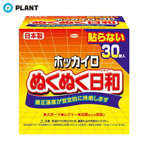 ホッカイロ ぬくぬく日和 貼らないレギュラー 30個入