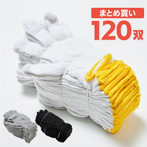 2{҂݌R 450g 10_[X 120o ƗpR ܁yP[X̔z