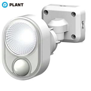 _yXSi|Cg5{z11271:59܂Ł^TV O ACLEDZT[Cgi4W×1j