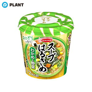 G[XRbN X[v͂邳 킩߂Ɩ 21g