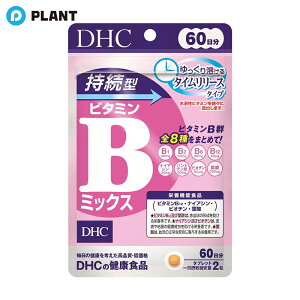 DHC ^ r^~B~bNX 60(120)
