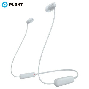 \j[ CXXeIwbhZbg WI-C100 WZ zCg