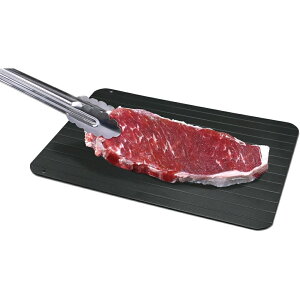 \【店内全品ポイント5倍】10月27日9:59まで/大和物産 急速解凍プレート