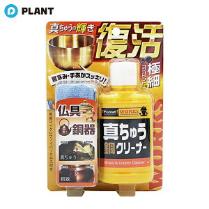 �v���X�^�b�t WORKS �^�J�^���N���[�i�[ 100g �N���X�t��