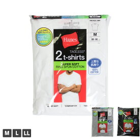 Hanes ヘインズ 2枚組 白T Tシャツ メンズ 半袖 ホワイト グレー ブラック